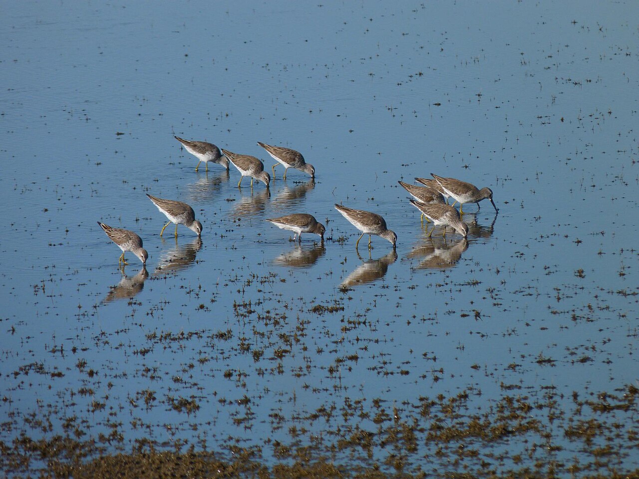Black Point Wildlife Drive on Merritt Island — Merritt Island, FL